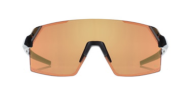 RAPTOR 129