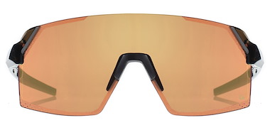 RAPTOR 129